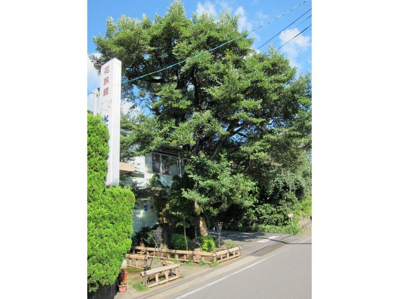 花旅馆 岩户屋 #1